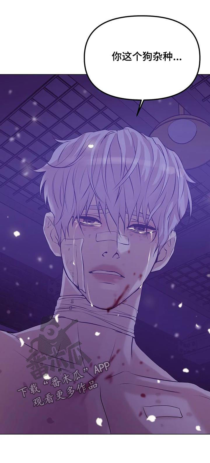 第60章：【第二季】一群窝囊废10