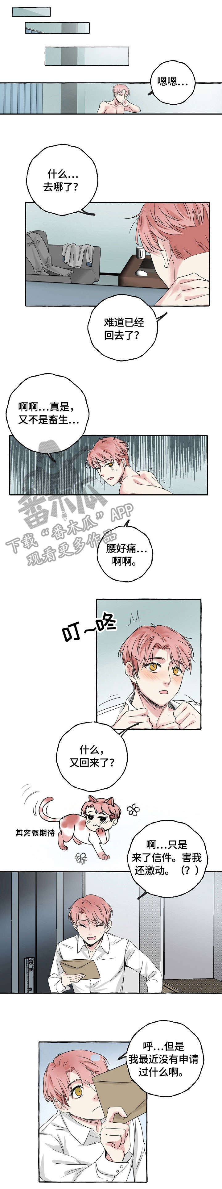 第5章：贿赂6
