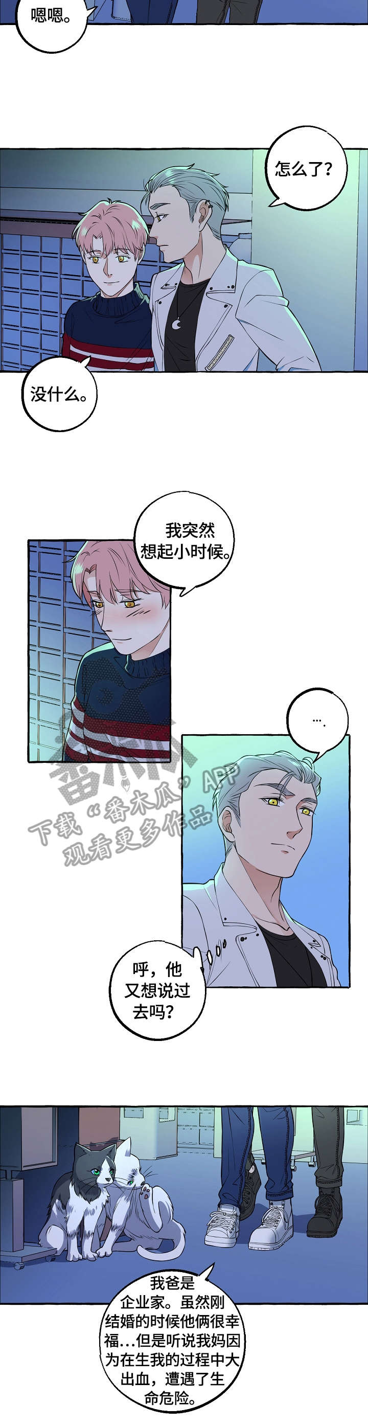 第54章：荣幸1