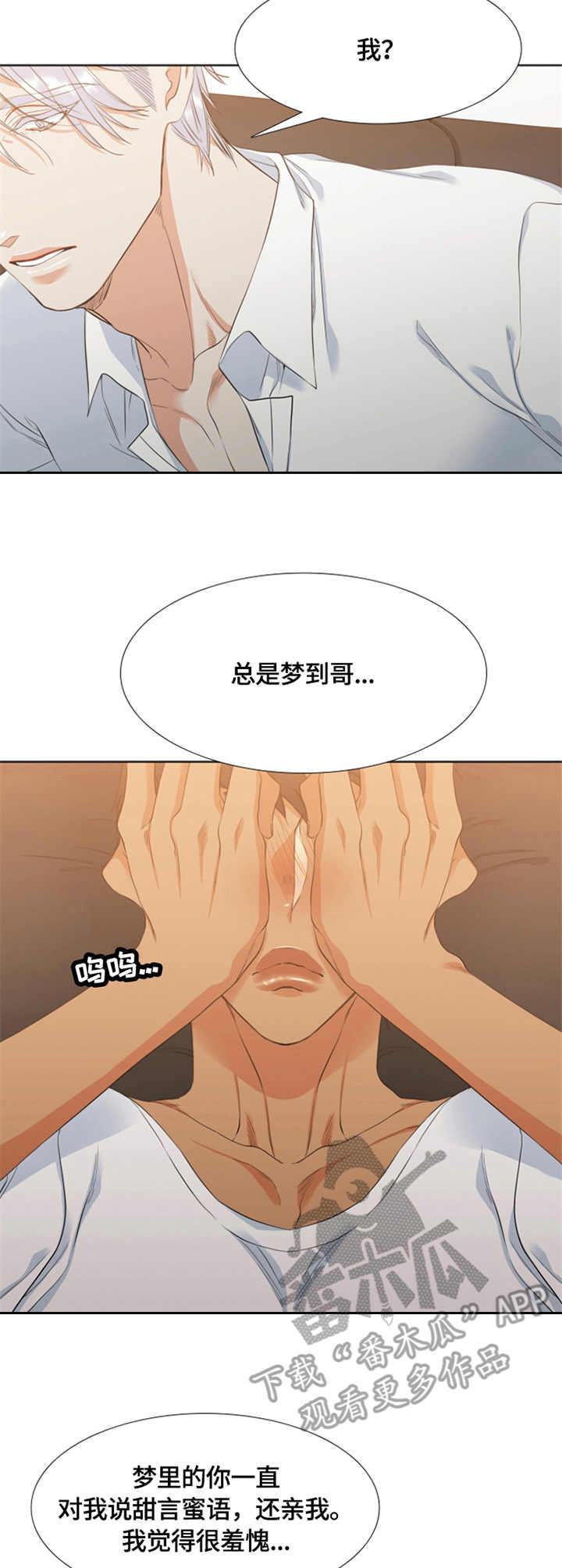 第30章：解释2