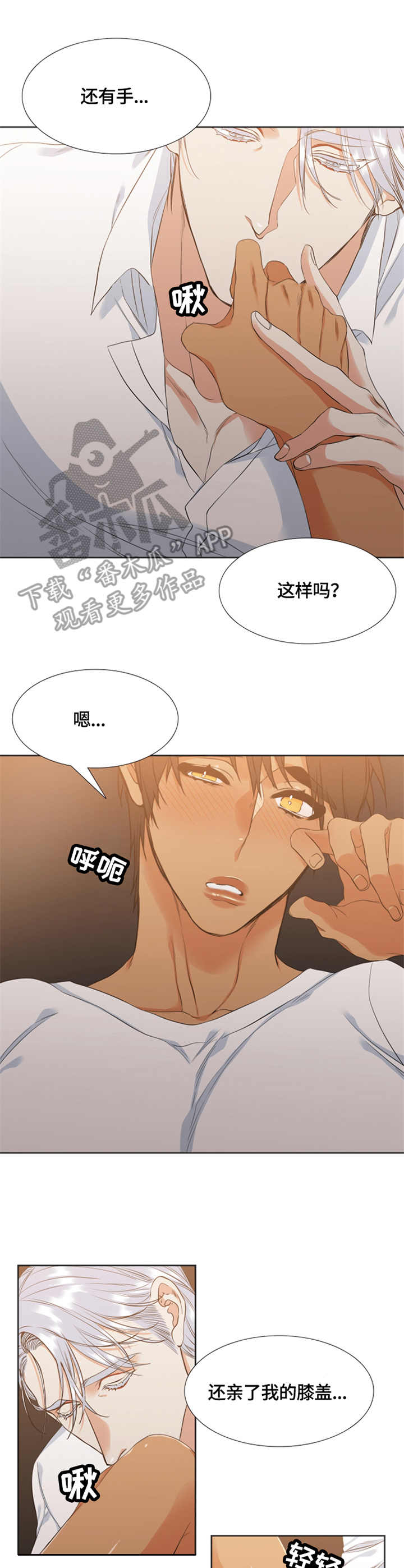 第30章：解释8