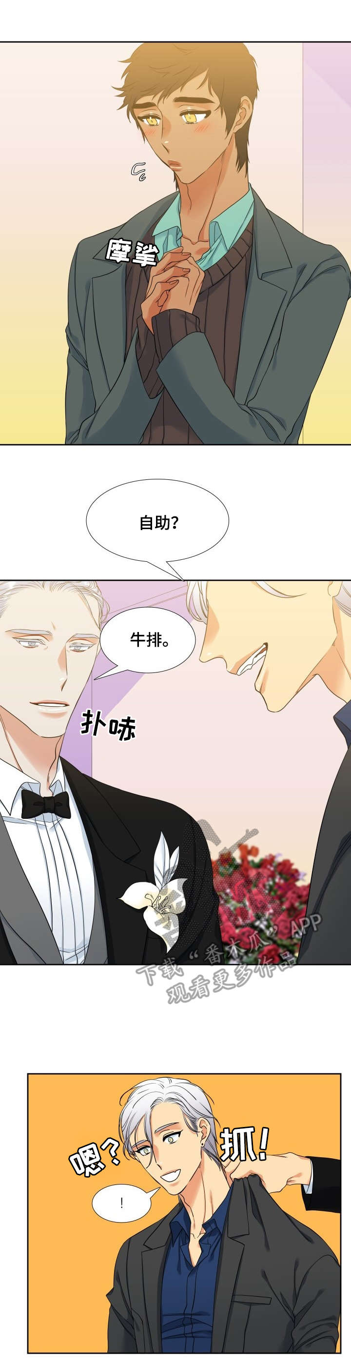 第52章：婚礼0