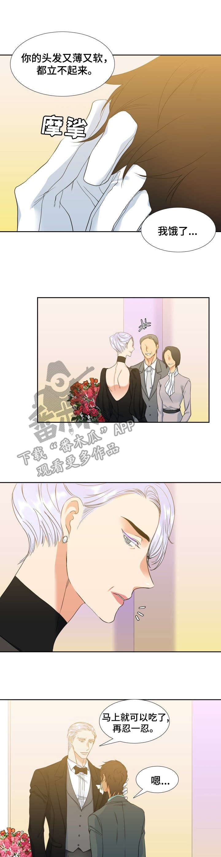 第52章：婚礼2