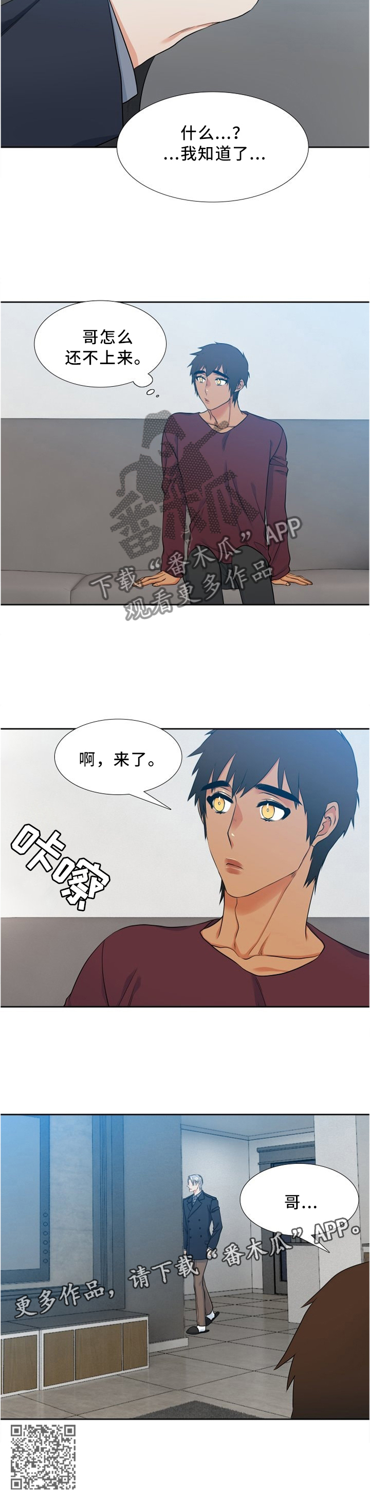 第87章：神秘电话8