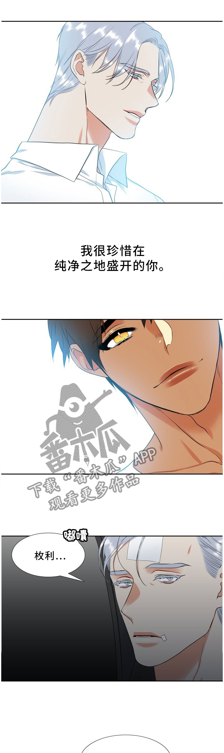 第166章：人生教训0