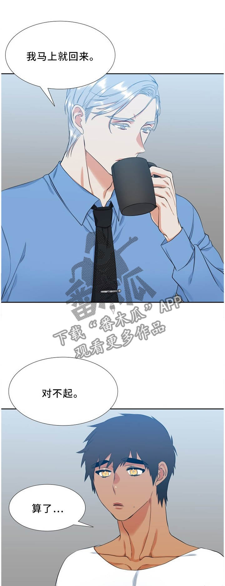 第176章：理事会决定0