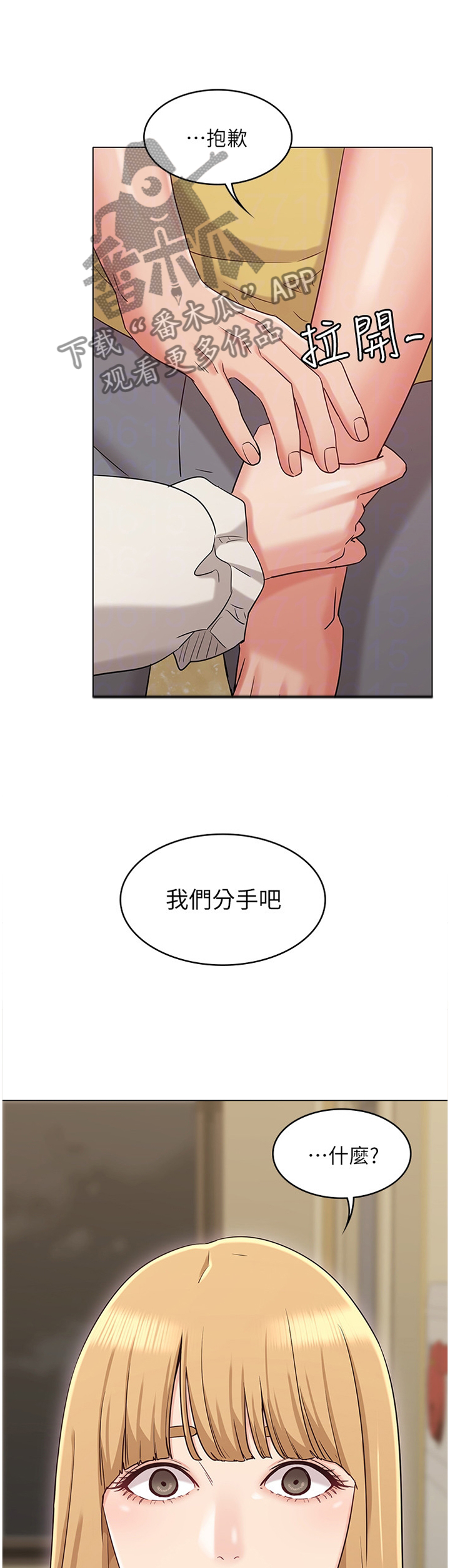 第51章：分手19