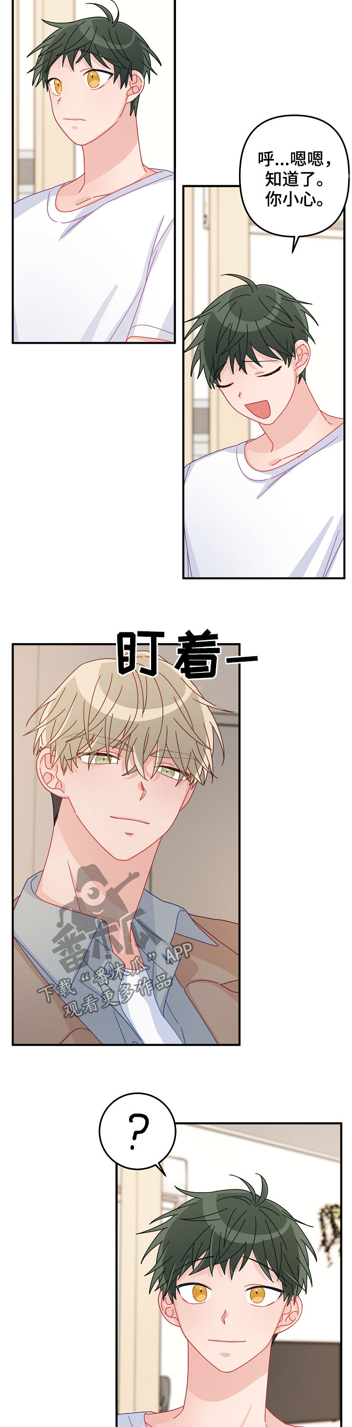 第37章： 忘得一干二净4