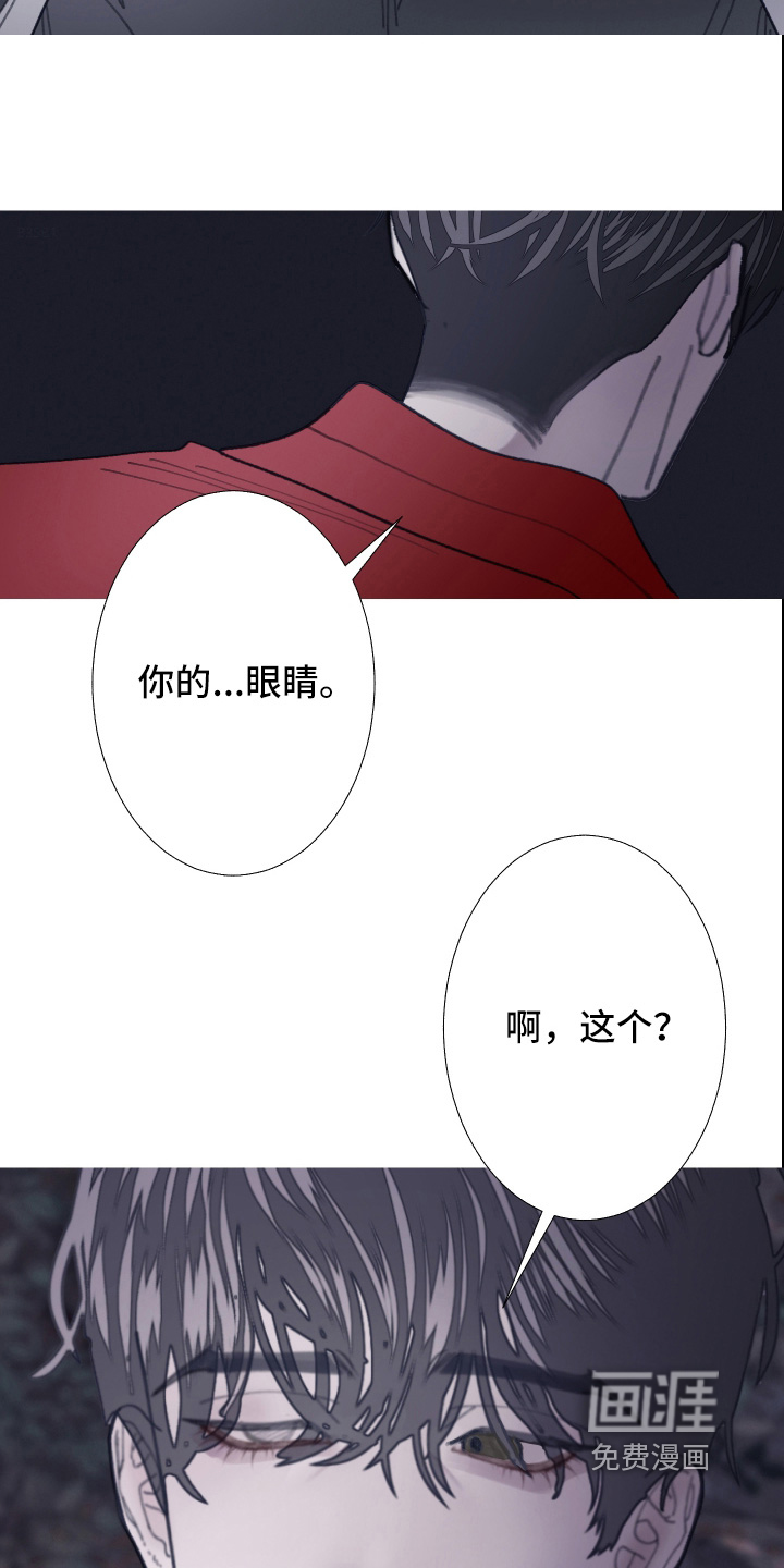 第257话21