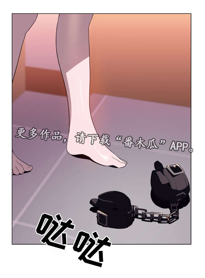 第21章：提议12