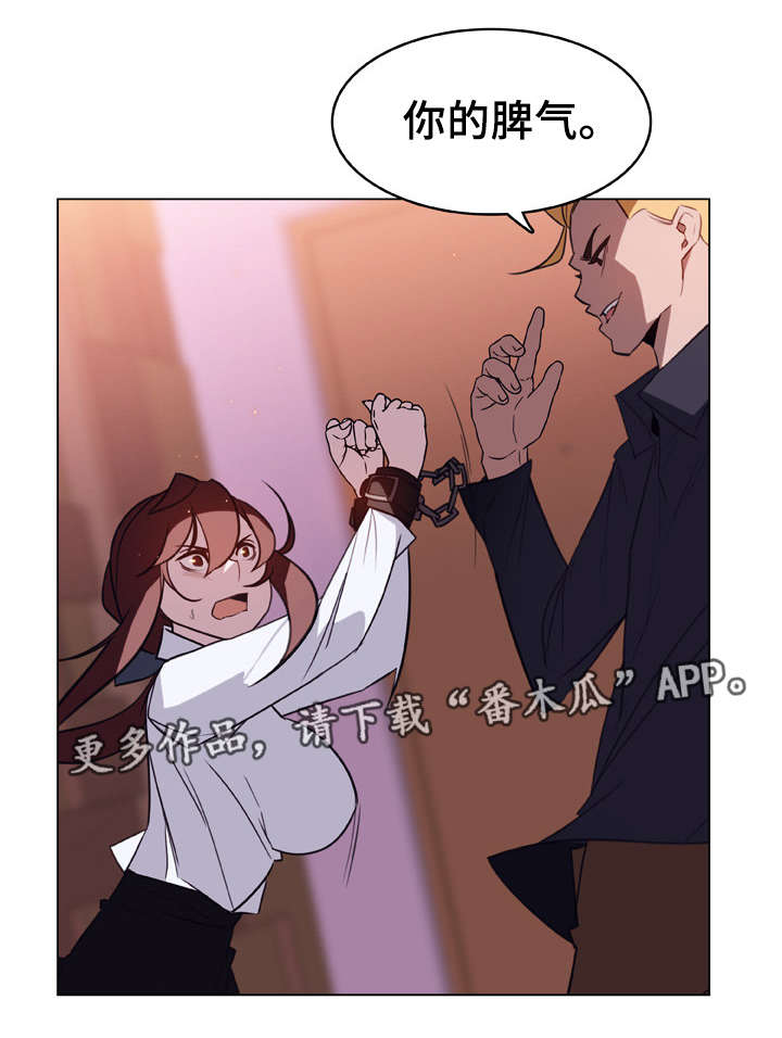 第21章：提议4