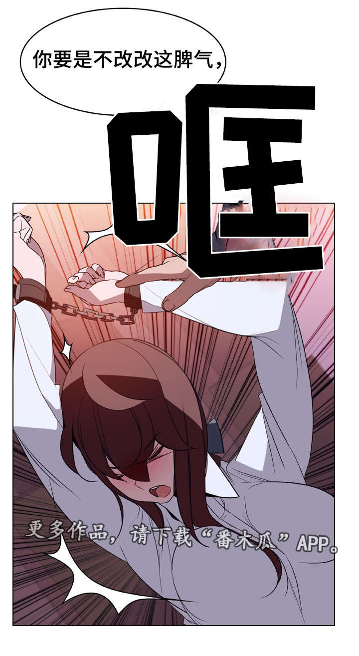 第21章：提议6