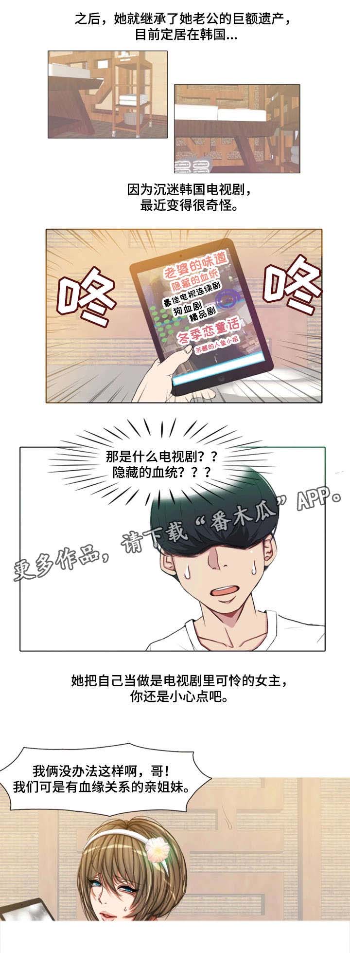 第12章：日本客人8