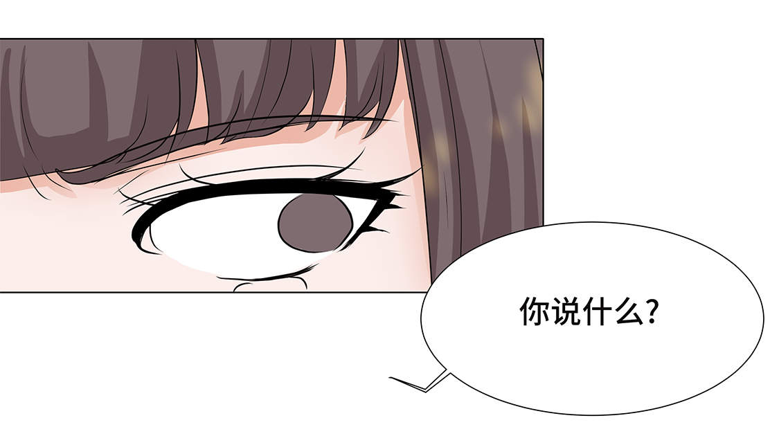 第3章：奇怪的客人28