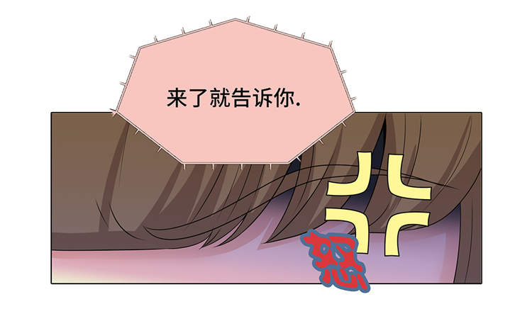 第12章：是时候见面了17
