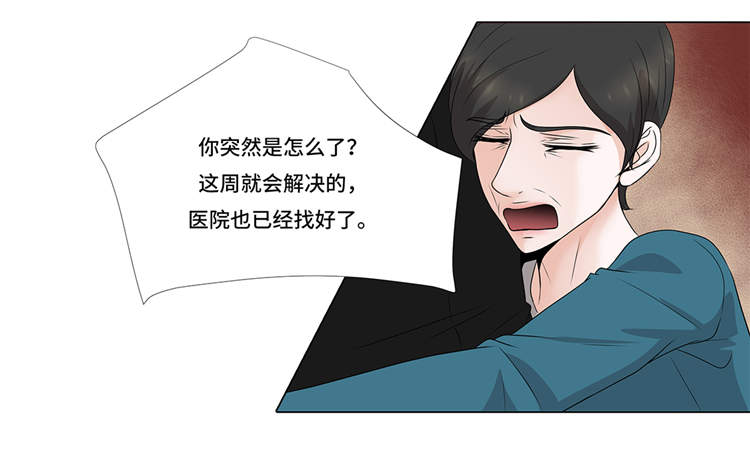 第12章：是时候见面了28