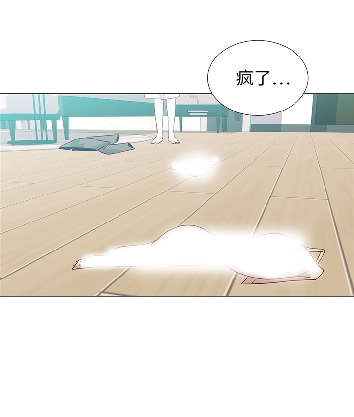 第52章：情迷19
