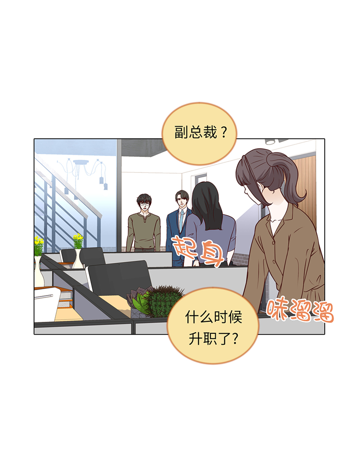 第64章：装修16