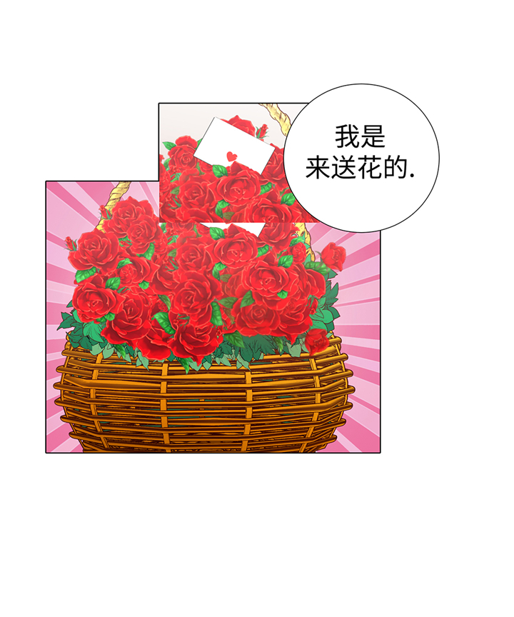 第65章：我送的花1