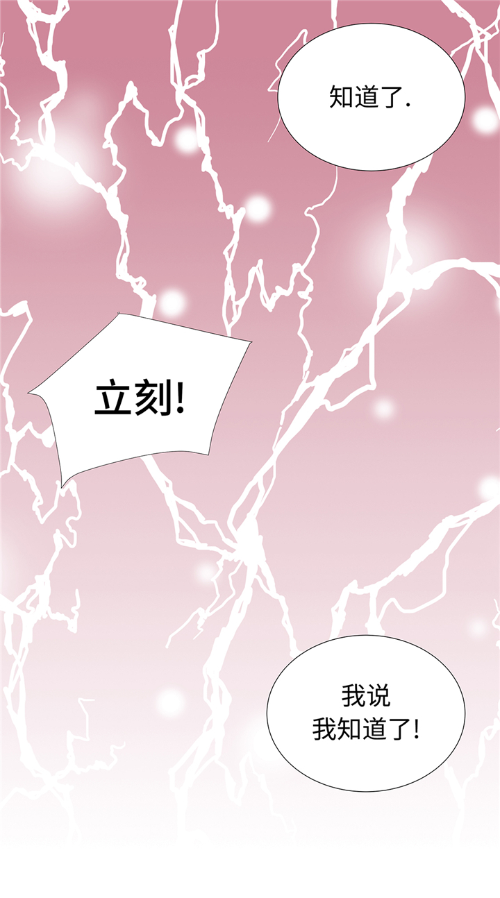 第65章：我送的花20