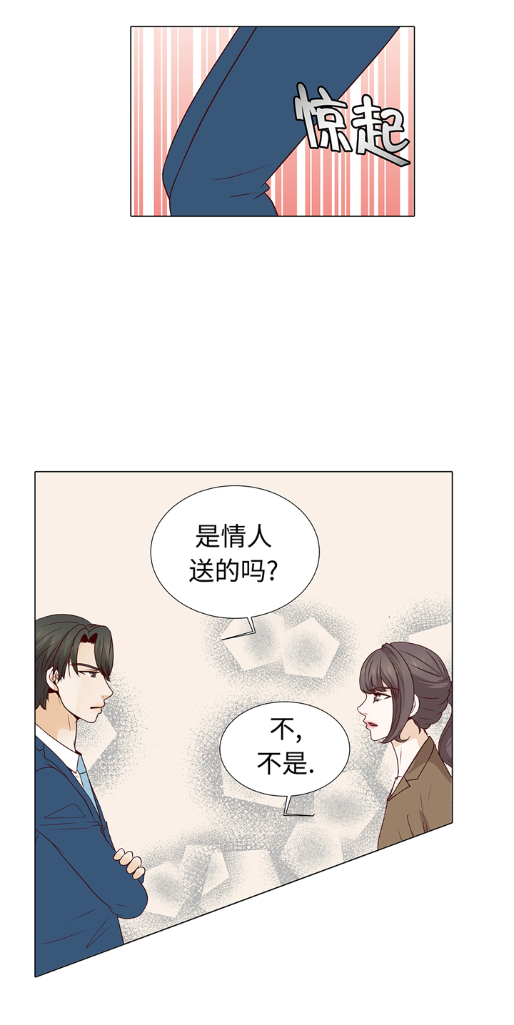 第65章：我送的花9