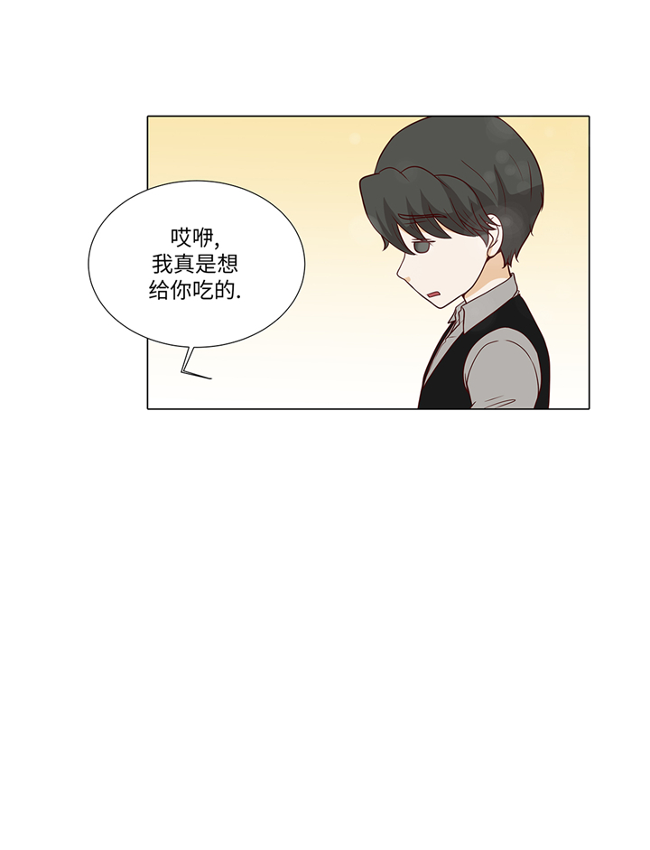 第80章：假装的恋人17