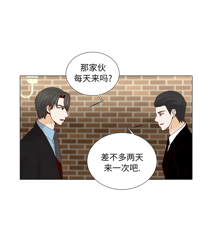 第85章：我弄死你21