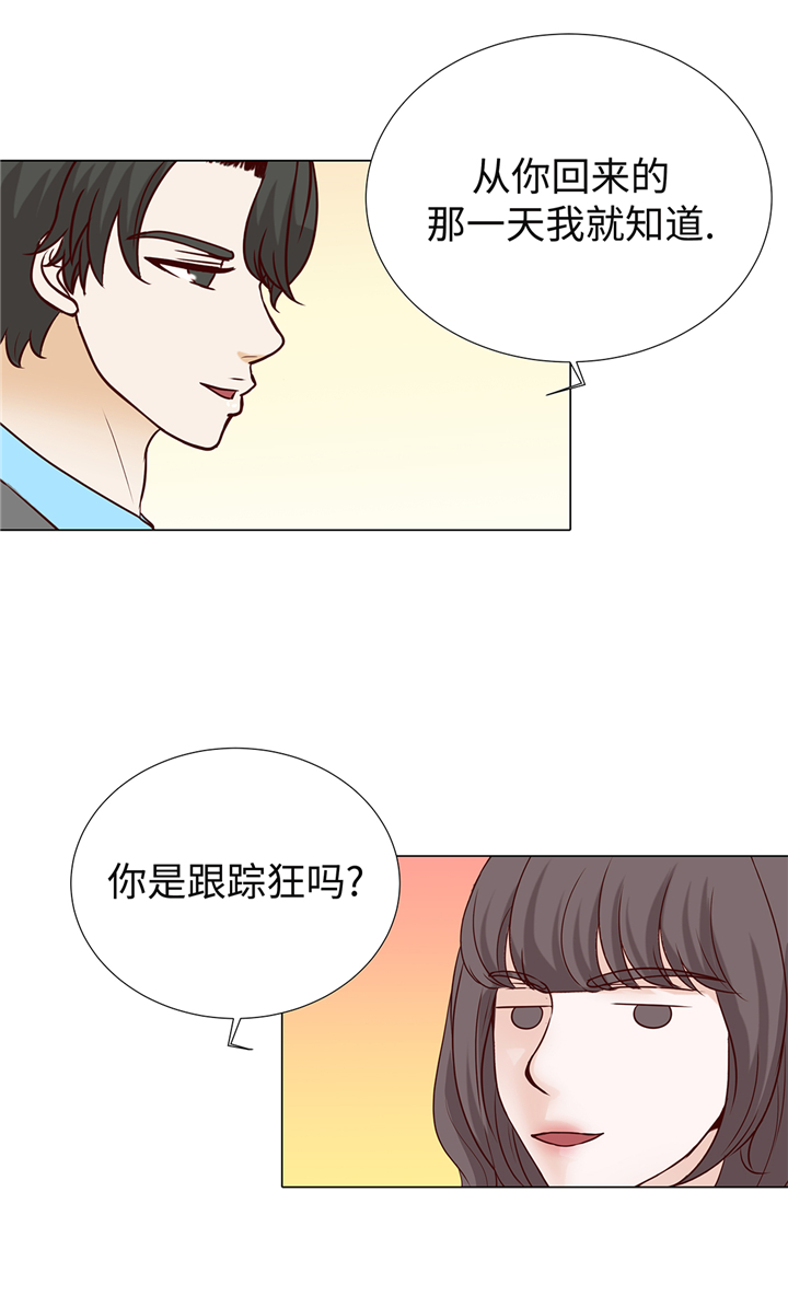 第95章：大结局18