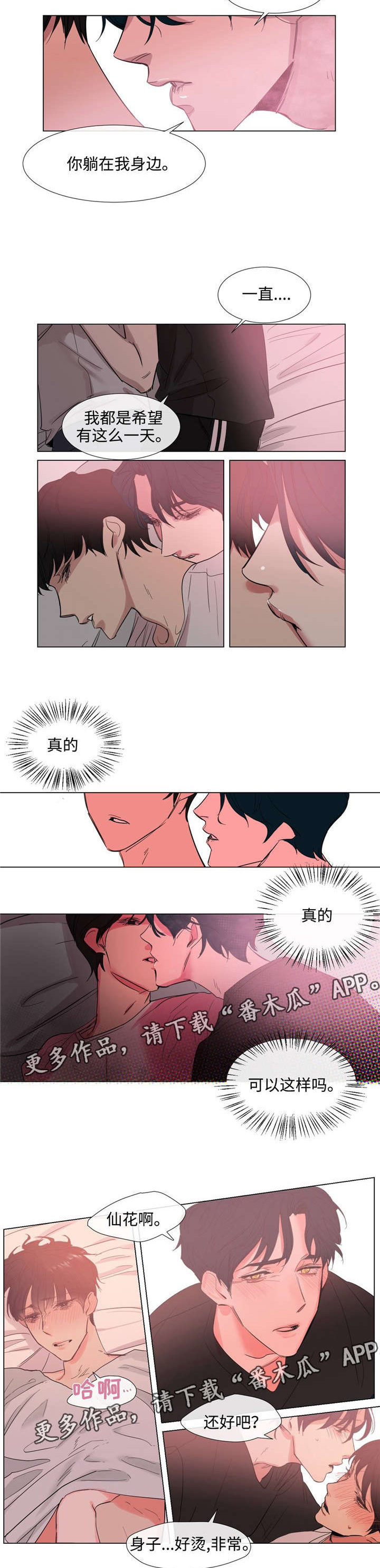 第56章：我爱你1