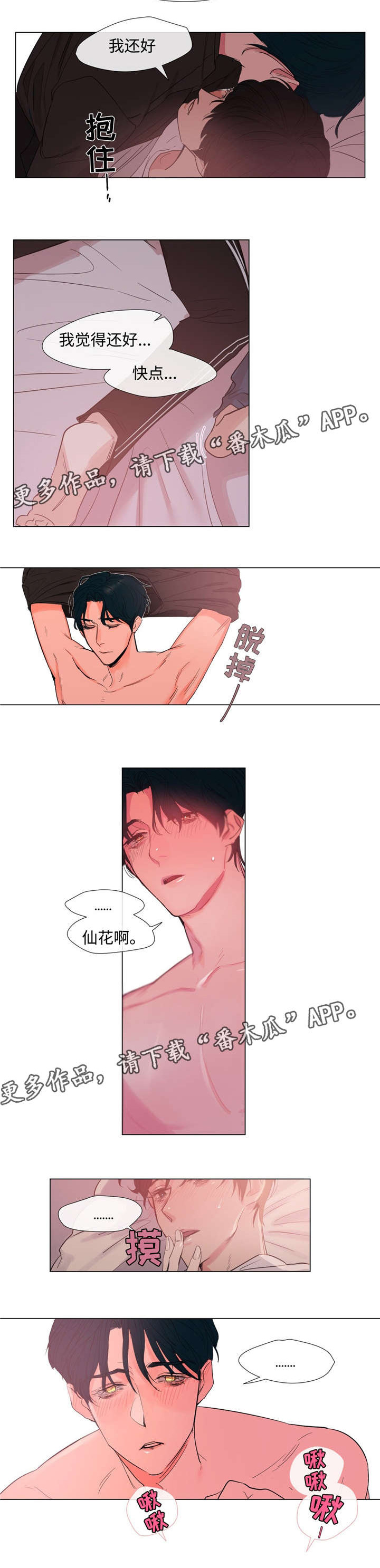 第56章：我爱你2