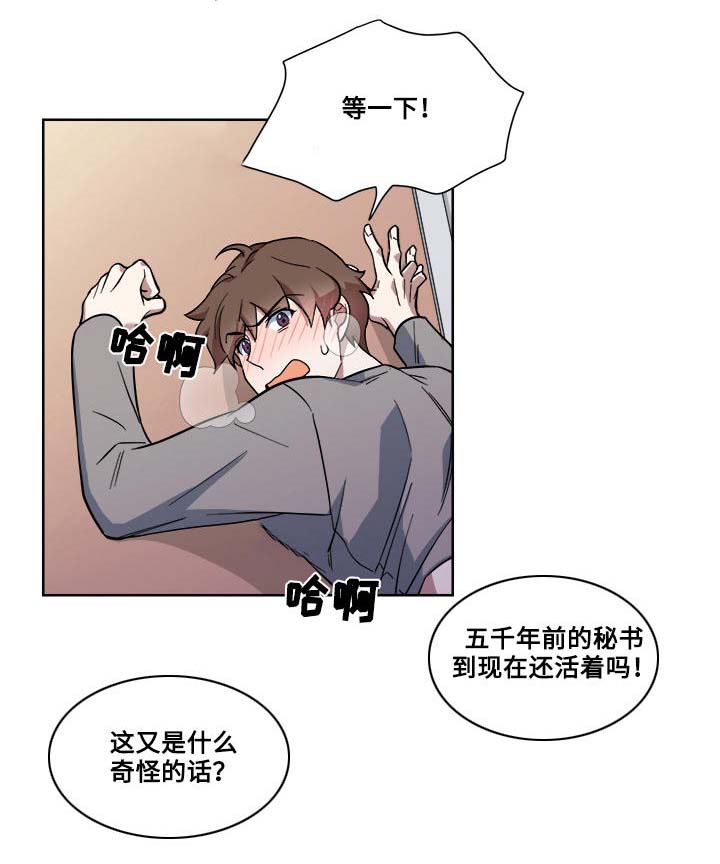 第16章：暴露5