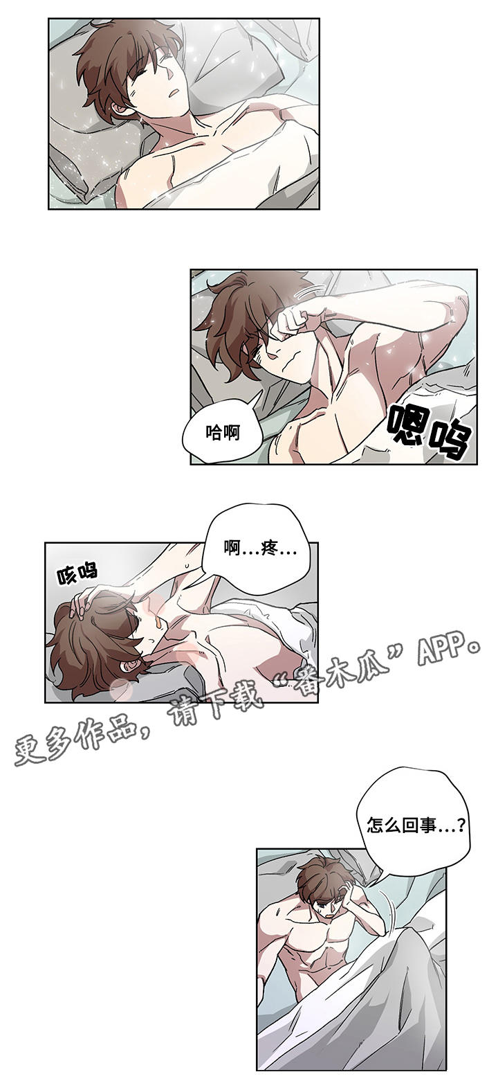 第25章：解除诅咒13
