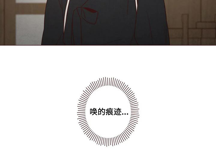 第138章：保护15