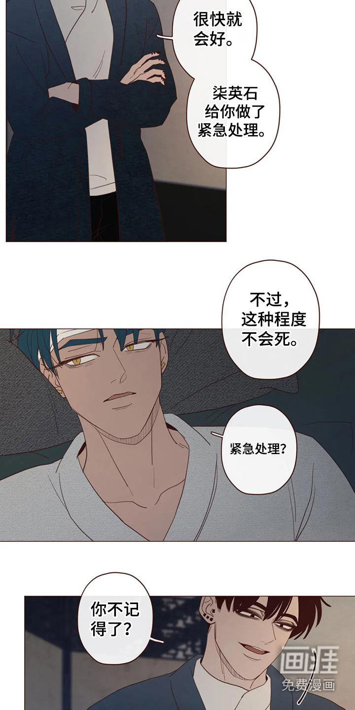 第126章：装睡5