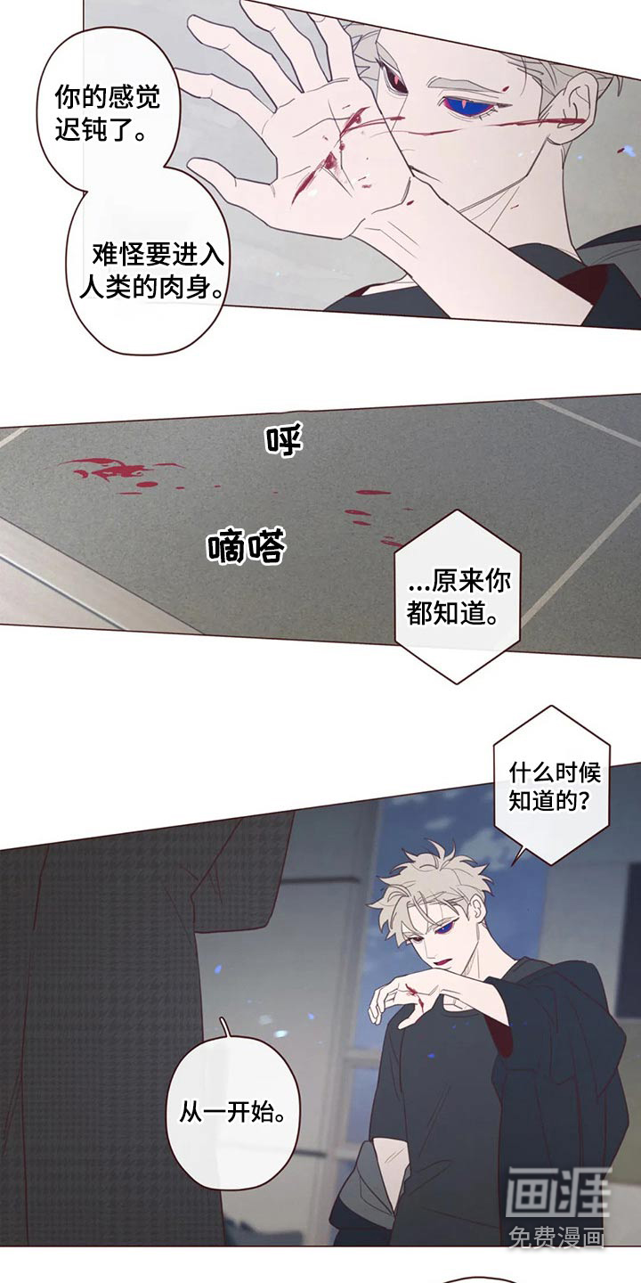 第119章：识破13