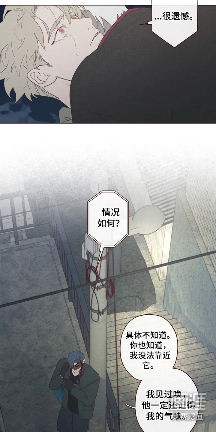 第118章：事情得到解决4