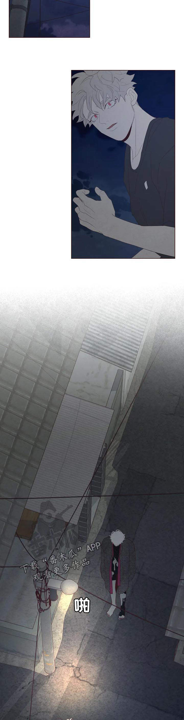 第117章：不详之人13