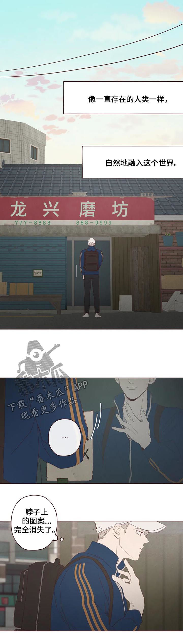 第116章：可怜人8