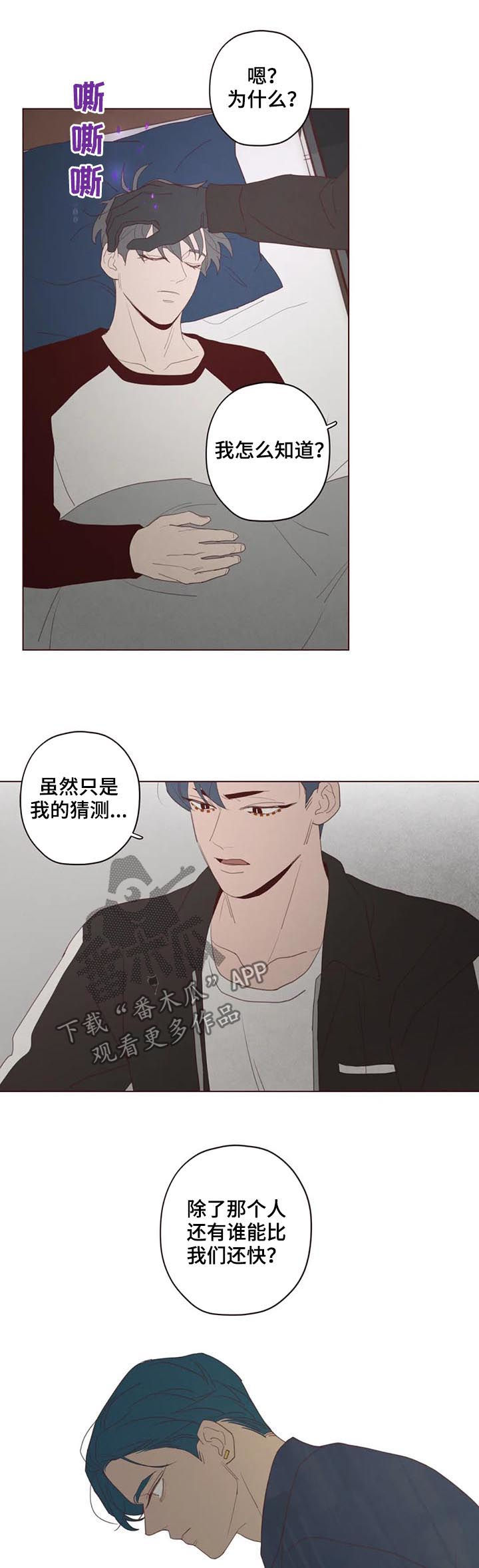 第113章：计划6