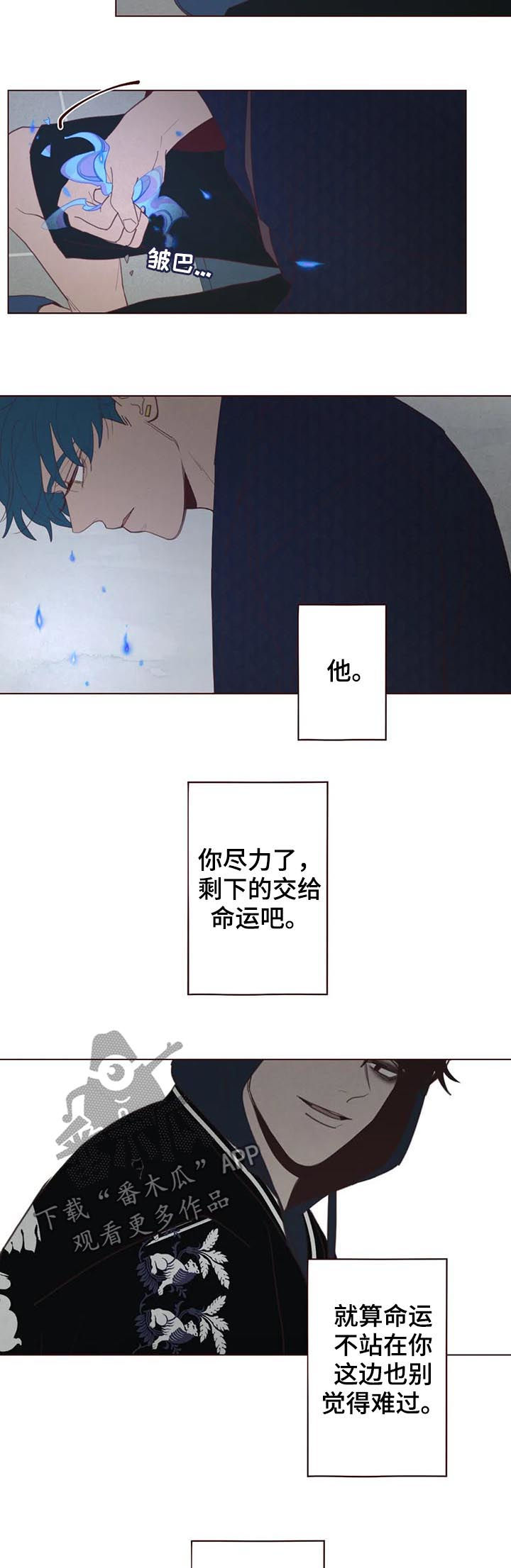 第108章： 命运3