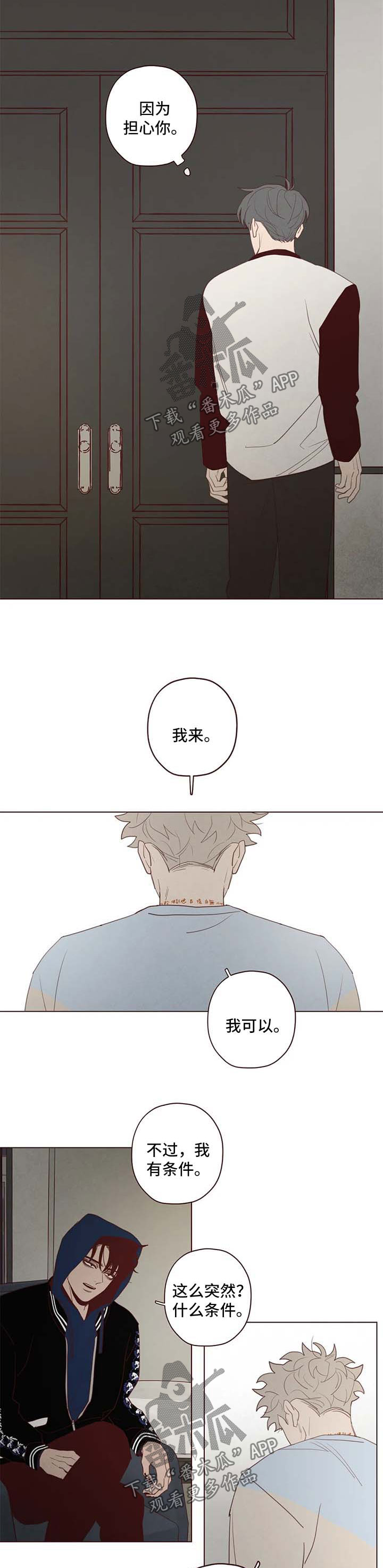第105章：赌一把5