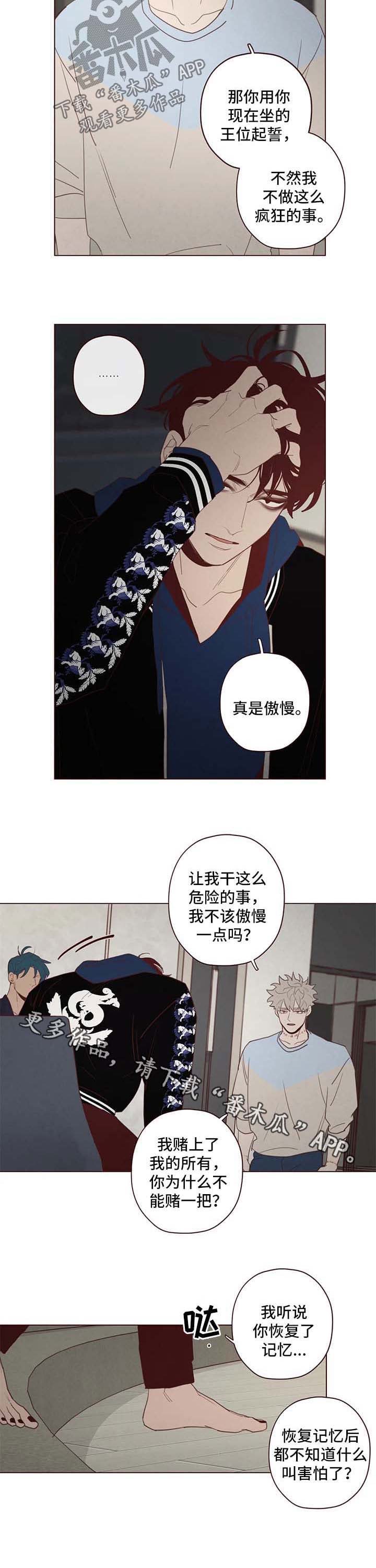 第105章：赌一把7