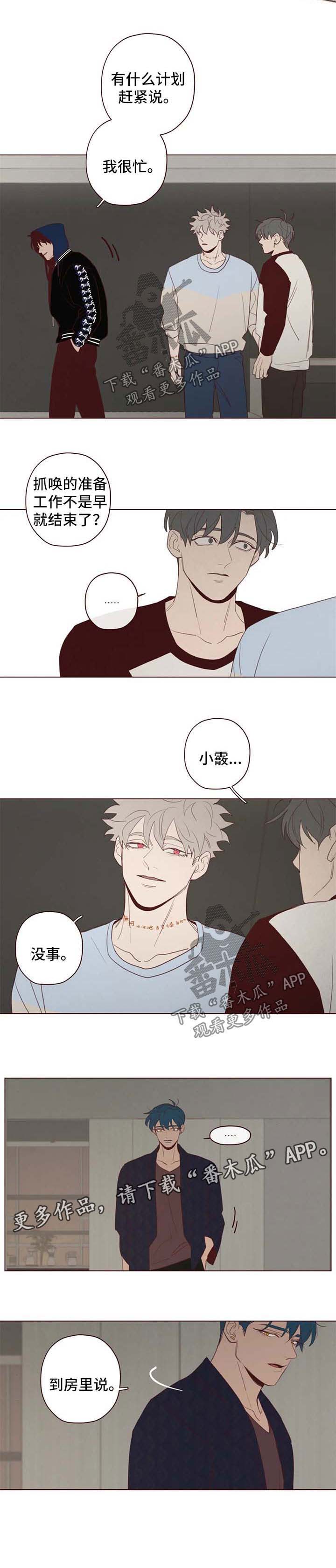 第104章：计划5