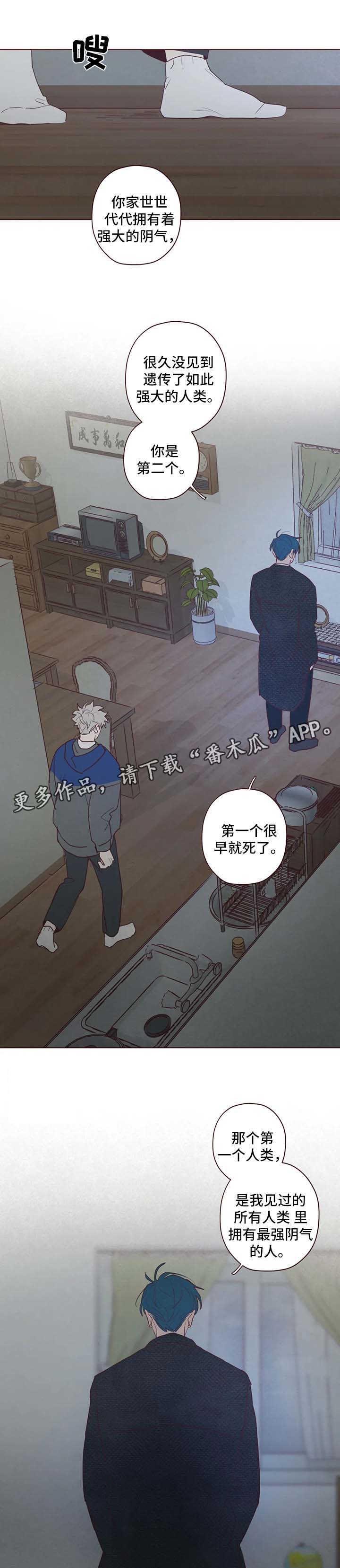 第82章：鬼魅出现3
