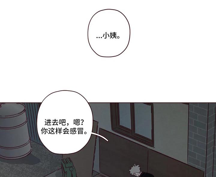 第80章：小姨之死0