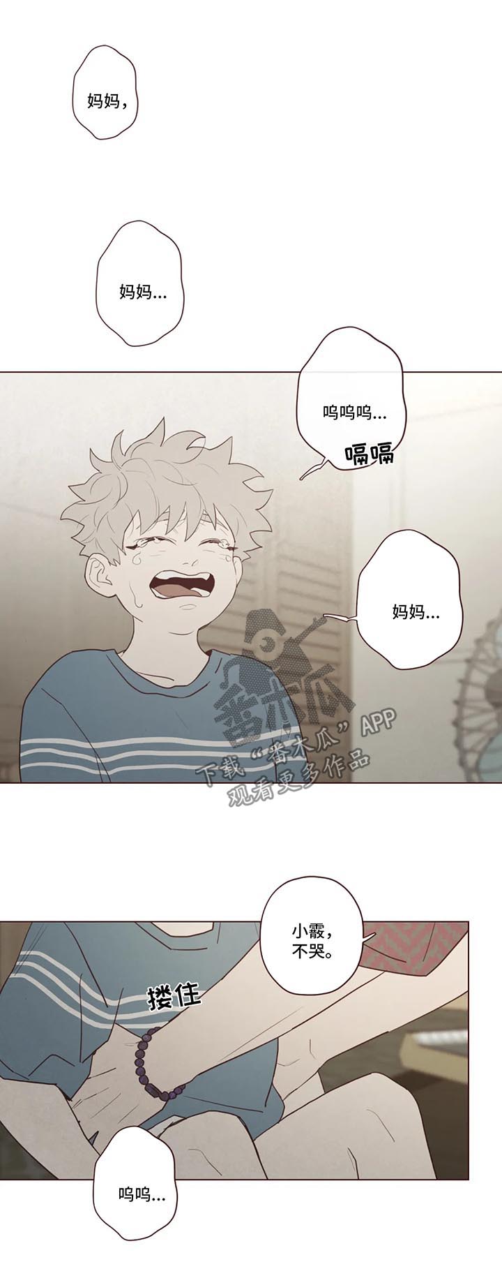 第80章：小姨之死10