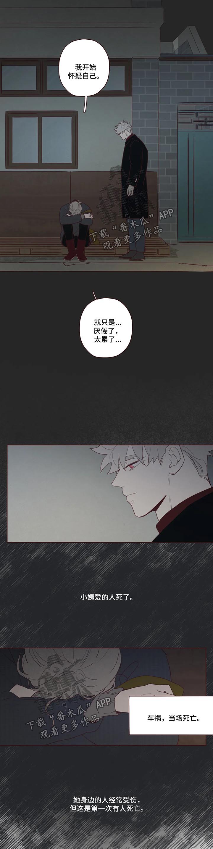 第80章：小姨之死3