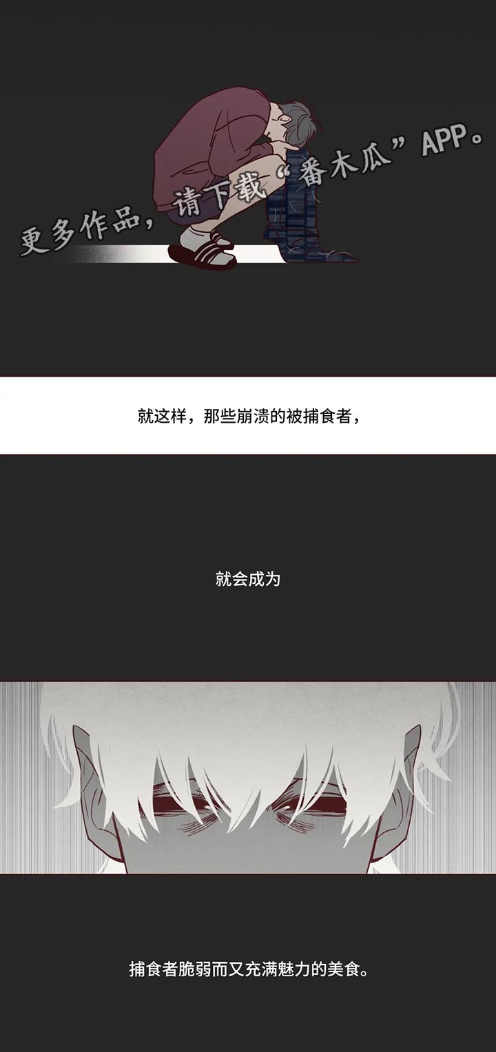 第79章：捕食者8