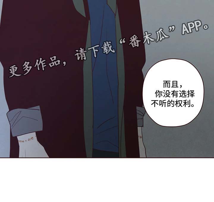 第67章：你没有权利9