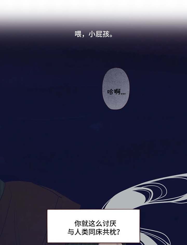 第66章：有话说0